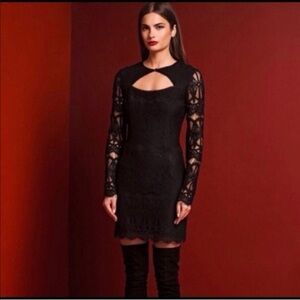 Stone Cold Fox Suki Mini Dress Black Lace